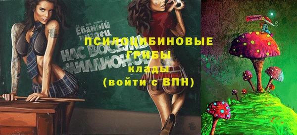 spice Пролетарск