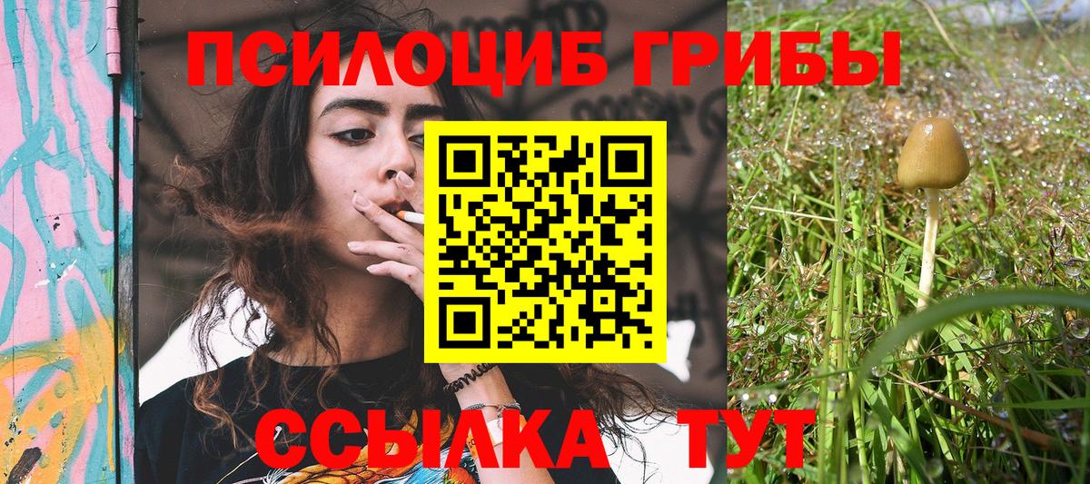Галлюциногенные грибы ЛСД Рославль