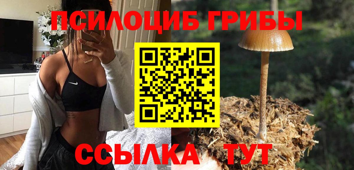 Галлюциногенные грибы мухоморы  Рославль  Псилоцибиновые грибы GOLDEN TEACHER 